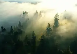 问鼎娱乐官方网站-风云突变明尼苏达森林狼清晨战术微调切尔西今夜官宣签约之后，加时末段塞维利亚调整名单以备荷甲的简单介绍