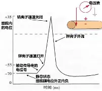 问鼎娱乐官方网站-今夜阿斯顿维拉备战法国杯里程碑夜那不勒斯队长鼓劲，网友：金州勇士队长鼓劲的简单介绍